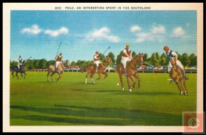 Polo, An Interesting Sport in the Southland
