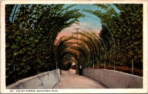 View in Valley Avenue, Macatawa MI c1923 Vintage Postcard S47