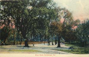 c1910 Vintage Postcard; River Road, Bainbridge GA Decatur County Unposted