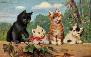C.1907 Sophie Sperlich Adorable Cats Kitten Moon German Postcard F82 