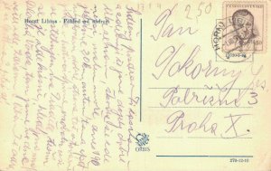 Czech Republic Horní Libina Vintage RPPC 07.54
