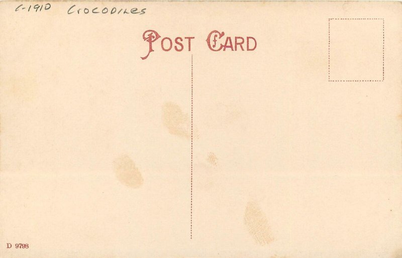 Postcard C-1910 Crocodile Good Hunt Bayano River Panama 23-6729