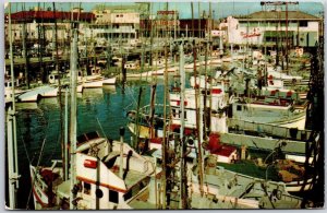 1956 Fishing Fleet San Francisco California Fisherman Wharf's Posted Postcard