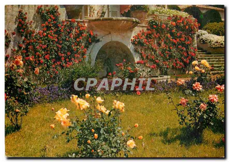 Modern Postcard Le Cannet French Riviera Yakymour