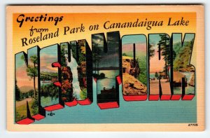 Greetings From Roseland Park On Canandaigua Lake New York Large Letter Postcard