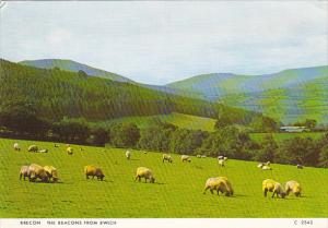 Wales Brecon The Beacons From Bwlch