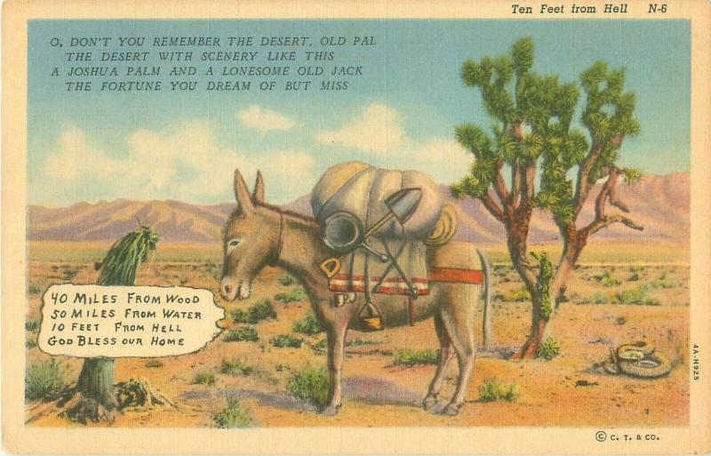 Ten Feet From Hell, Donkey in Desert, 50 Miles from Water Comic Postcard