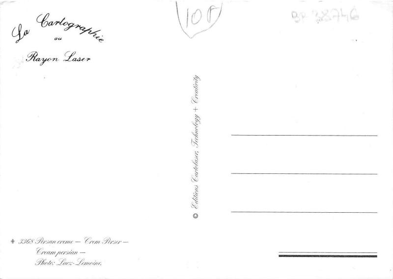 BF38746 persan creme  cat chat animal animaux