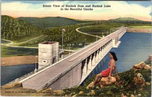 Postcard DAM SCENE Ozarks Arkansas AR AO2254