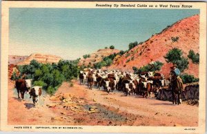 Postcard ANIMAL SCENE Amarillo Texas TX AK0833