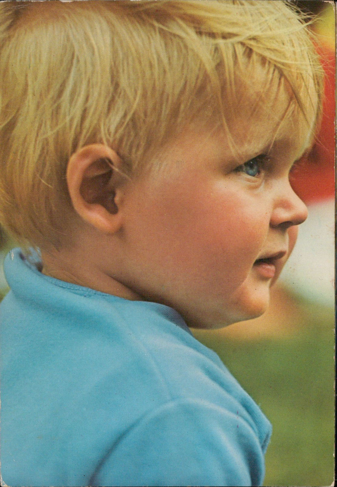 Little Blonde Boy Blue Eyes Portrait Hippostcard