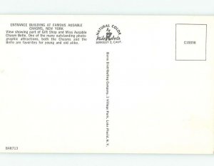 Unused Pre-1980 ENTRANCE BUILDING Adirondacks - Ausable Chasm New York NY hp0747