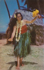 Hawaii Beautiful Hula Dancer