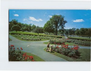 Postcard Deering Oaks, Portland, Maine