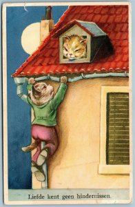 DRESSED CAT LOVER VINTAGE POSTCARD