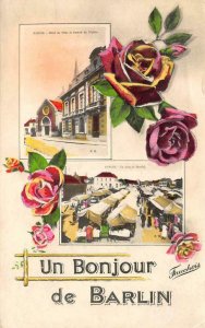 Un Bonjour de Barlin, France Hôtel de ville Roses Fauchois Vintage Postcard