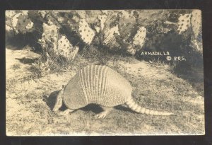 RPPC ARMADILLO HARLINGEN TEXAS DENTERVIEW MISSOURI REAL PHOTO POSTCARD