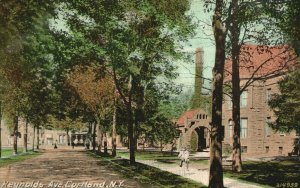 Vintage Postcard 1910's Reynolds Ave. Cortland NY New York Street View