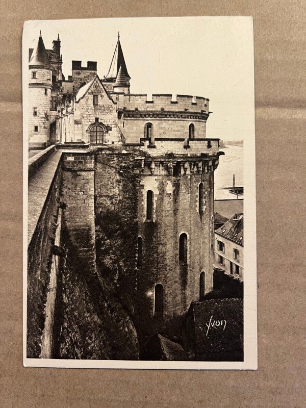 VINTAGE UNUSED  POSTCARD -CASTLE D'AMBOISE, LOIRE'S CASTLE, FRANCE