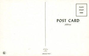 Man Dig that Crazy Pay Toilet! Dog Comic