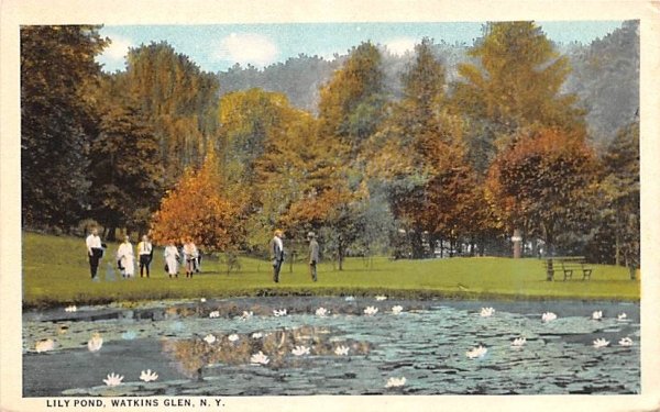 Lily Pond Watkins Glen, New York