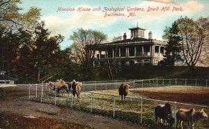 Vintage Postcard 1911 Mansion House & Zoological Gardens Baltimore Maryland MD