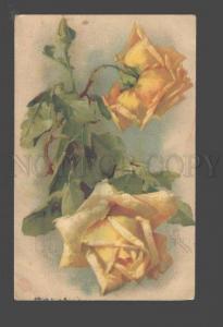 3093550 Yellow ROSES Flowers by C. KLEIN Vintage Colorful PC