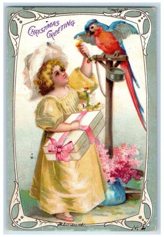 1909 Christmas Greetings Girl With Gift Parrot Flowers San Francisco CA Postcard