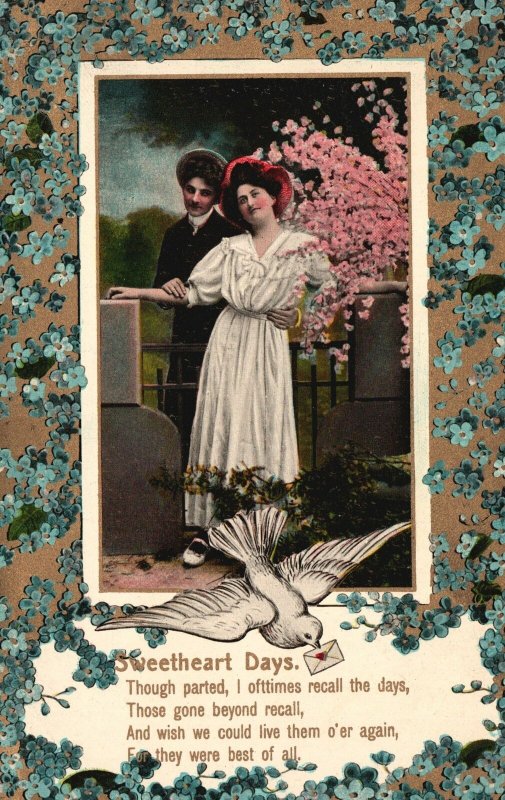 Vintage Postcard Lovers Couple Sweetheart Days Forget Me Not Borders Bird