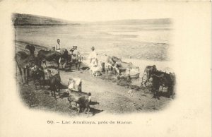 PC ETHIOPIA, LAC ARAMAYA, PRÉS DE HARAR, Vintage Postcard (B41159)