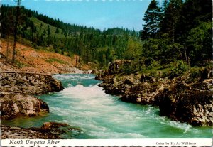 Oregon The Narrows Of The Umpqua River