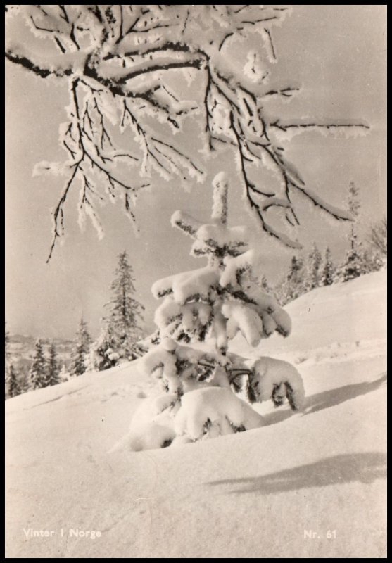 Winter Scene Norway BIN