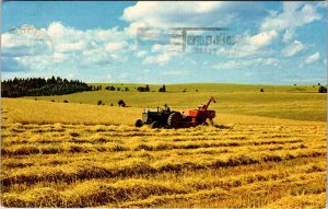 Postcard FARM SCENE New Glasgow Prince Edward Island PE AN7973