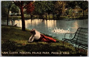 Lake Clara Mineral Palace Park Pueblo Colorado CO Ducks Swimming Postcard