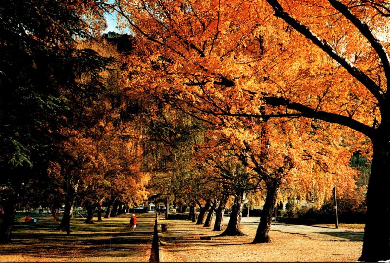 New Zealand Queenstown Glimpse Of Skyline Chalet Through Autumn Trees