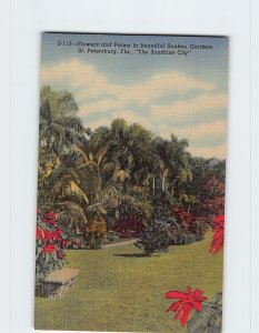 Postcard Flowers and Palms in Beautiful Sunken Gardens, St. Petersburg, Florida