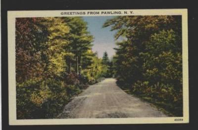 NY Greetings from PAWLING NEW YORK PC Postcard