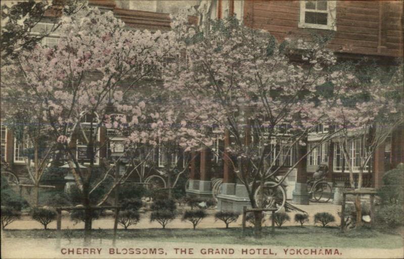 Yokohama Japan Grand Hotel Cherry Blossoms c1910 Postcard