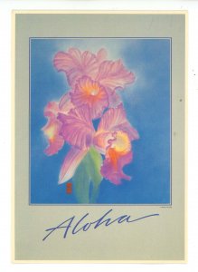 HI - Cattleya Orchids, Aloha!    (continental size)