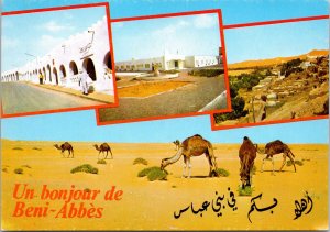 CONTINENTAL SIZE POSTCARD SOUVENIR IMAGES OF BENI-ABBES ALGERIA c. 1960s