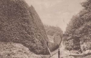 Man With Ladder at Penny Hill Park Bagshot in War Antique WW1 Surrey Postcard