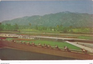 ARCADIA, California, 40s-60s; Horses Parading to the Post at Beautiful Santa ...