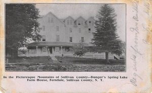 Spring Lake Farm House Ferndale, New York NY Postcard