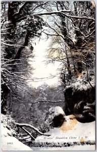 VINTAGE POSTCARD WINTER SCENE AT SHANKLIN CHINE ON ISLE OF MAN U.K. c. 1910