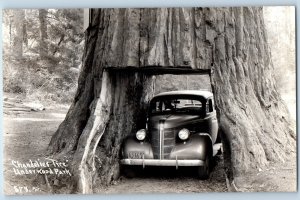 Scotia California CA Postcard RPPC Photo Chandelier Tree Car Scene 1940 Vintage