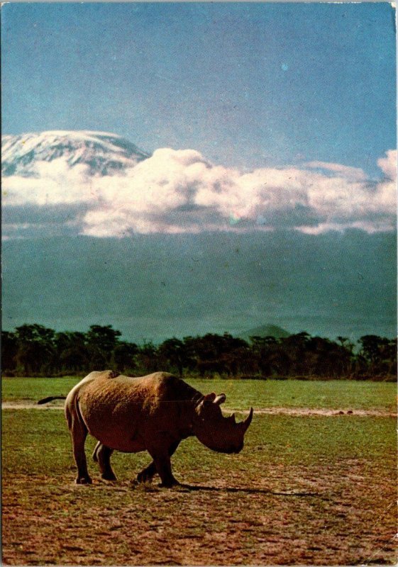 VINTAGE CONTINENTAL SIZE POSTCARD RHINOCEROS IN THE FOOTHILLS MAILED ZAIRE 1980