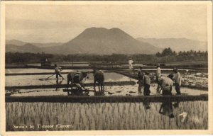 PC BIJ TJIBATOE SAWA'S GAROET INDONESIA REAL PHOTO (a26241)