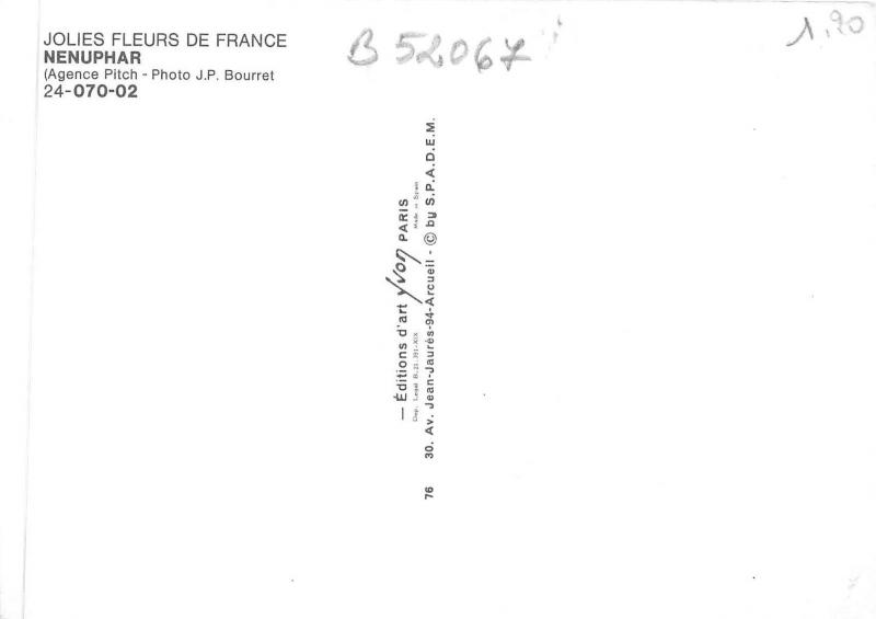 B52067 fleurs flowers nenuphar