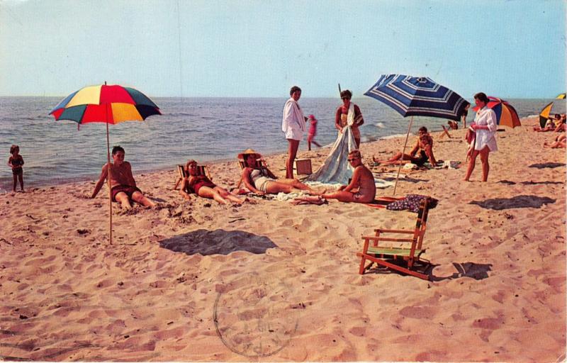 WHITEHALL MICHIGAN  LAKE BEACH ADJOINING WHITE LAKE POSTCARD 1961