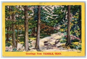 1954 Greetings From Road Trees Forest Trimble Tennessee Vintage Antique Postcard